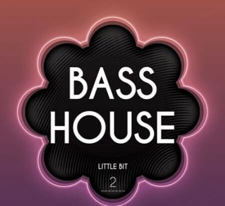 Little Bit Bass House 2 WAV